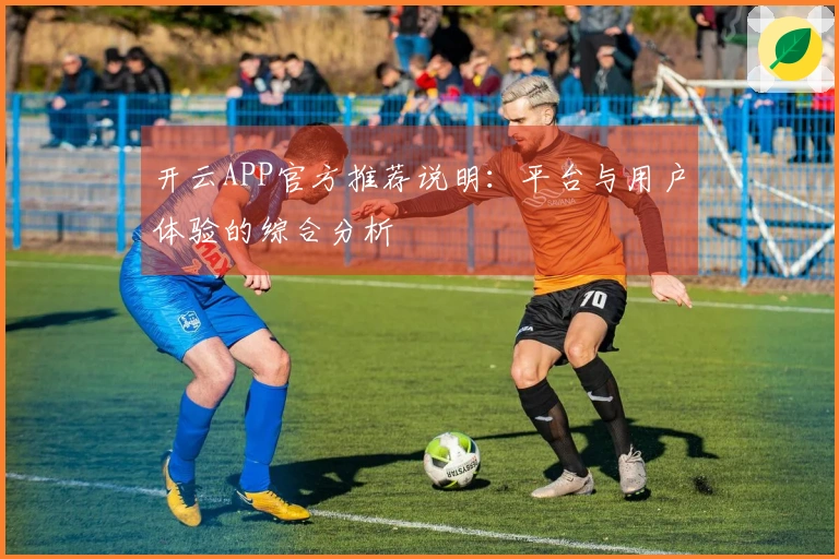 开云APP官方推荐说明：平台与用户体验的综合分析