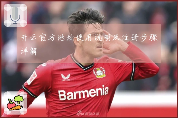 开云官方地址使用说明及注册步骤详解